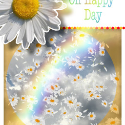 beauty specialized sunnyday daisies sky rainbow happyday freetoedit srcchamomilerain chamomilerain