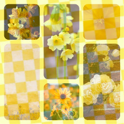 freetoedit yellow yellowaesthetic yellowflowers ccyellowaesthetic2022 yellowaesthetic2022