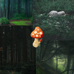 freetoedit forest green mushroom cottagecore darkforest mysterious