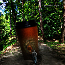 ircdesignthecoffeecup designthecoffeecup contest forest intothewoods woods scary creepy tunnel passage pathway passageway trees freetoedit