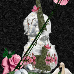 freetoedit roses pinkroses rose lotusflowers swans swan pond violin violinaesthetic music musicalinstrument kellydawn