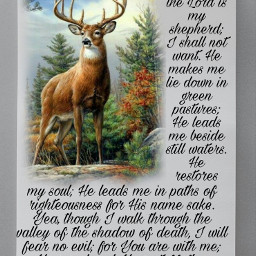 bible bibleverse deer stag
psalm freetoedit picsart stag ircdesignthespiralnotebook designthespiralnotebook