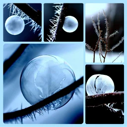 collage wintertime winterzeit winter frozen bubbles gefroren blasen freetoedit ccwintermoodboard2021 wintermoodboard2021