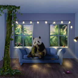 madebyme myedit panda butterfly cat home sofa jungle magical lights bird leaves livingroom trunk sunshine