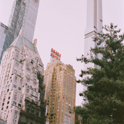 city newyork sky building tree white green trees buildings retro vintage film photography cityscape urban skyline nature freetoedit architecture aesthetic artsy retroaesthetic glam