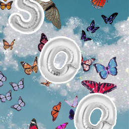 freetoedit 500 followers butterfly butterflies picsart