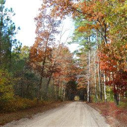 freetoedit autumn roadlesstraveled myoriginalphoto