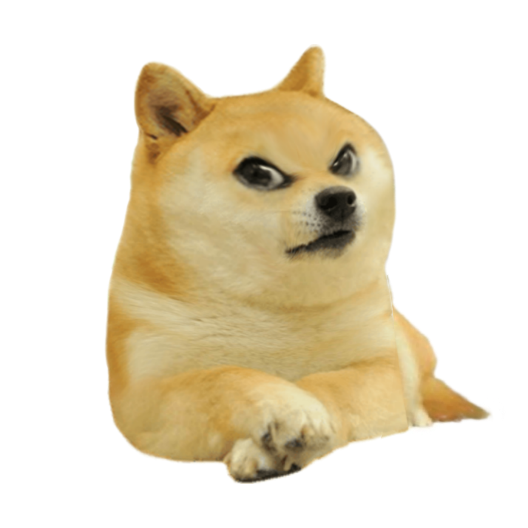 dogekid dogebaby freetoedit #Dogekid sticker by @teezeng1339