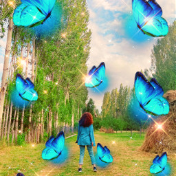 freetoedit butterfly butterflies blueaesthetic blue bluebutterflies bluebutterfly sparkle glitter glittery cute forrest colors colorful qotd quoteoftheday rcluminousbutterflies luminousbutterflies