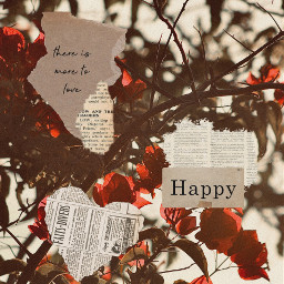 freetoedit happy flowers red brown wallpaper aesthetic vsco newspaper cool phone time download yellow tree nature text love forever stay