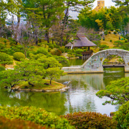 nature travel park japanesegarden pccolorgreen colorgreen