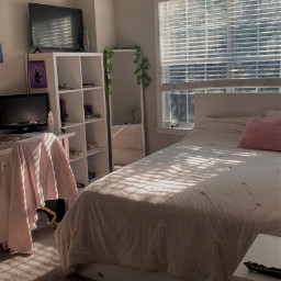 freetoedit dormroom bedroom teenroom girlbedroom