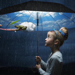 freetoedit rain forest bird frog umbrella storm girl composite