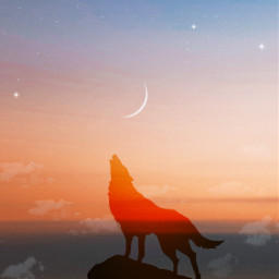 freetoedit wolf howlingtothemoon howlingwolf animal beast sunset moon stars gradient sky